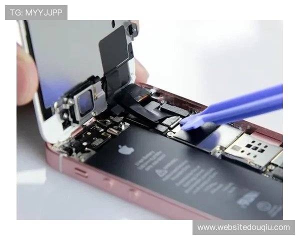 斗球app官网入口苹果版本下载安装教程，详细操作流程介绍