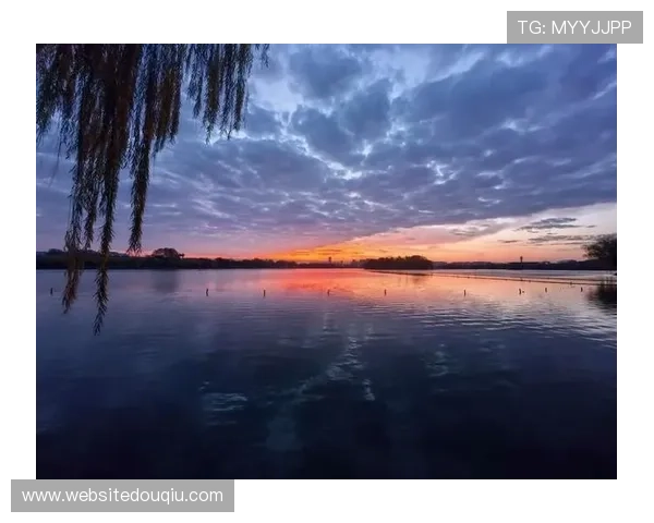 斗球帝App官方最新版本更新内容详细说明，帮助用户了解每一项新增和改进的细节